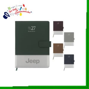 Agenda Cannes - D-ASP2027